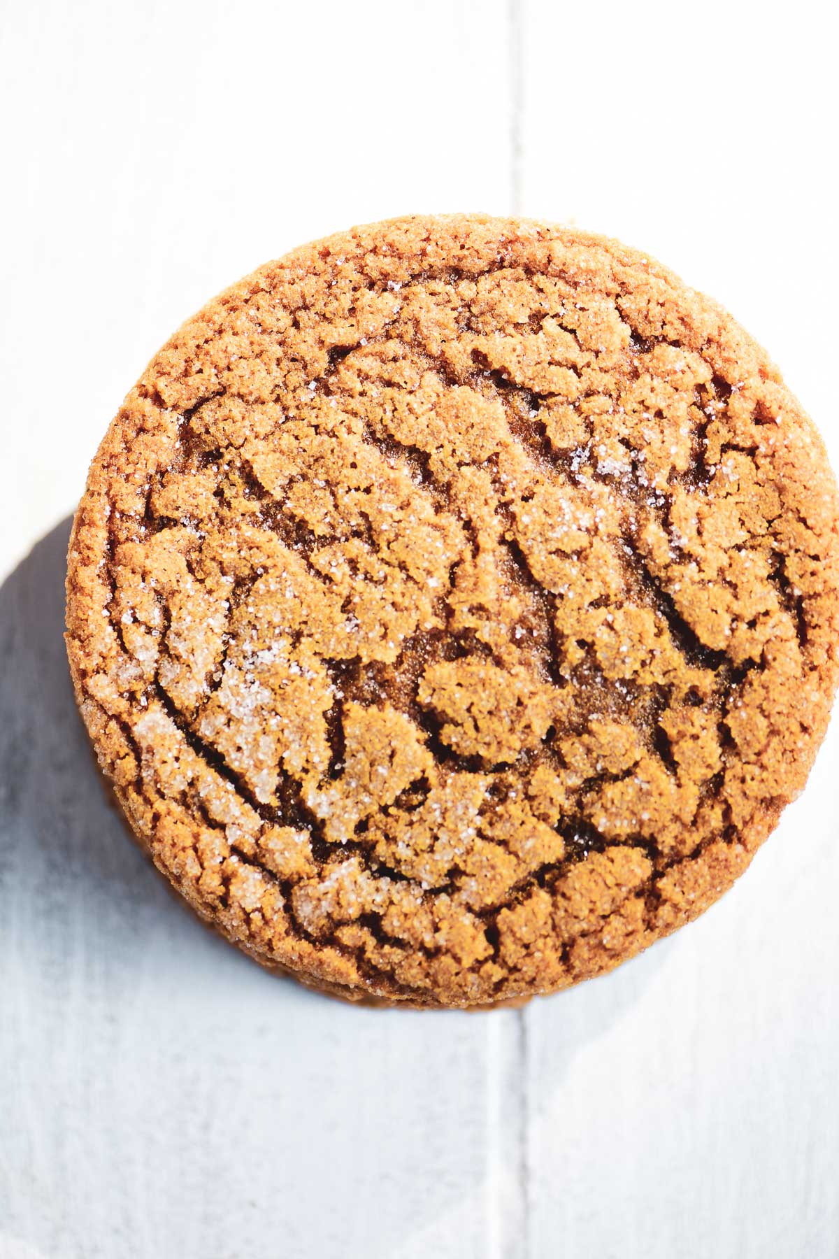 chewy-ginger-cookies-8504406-October-13-2020-1