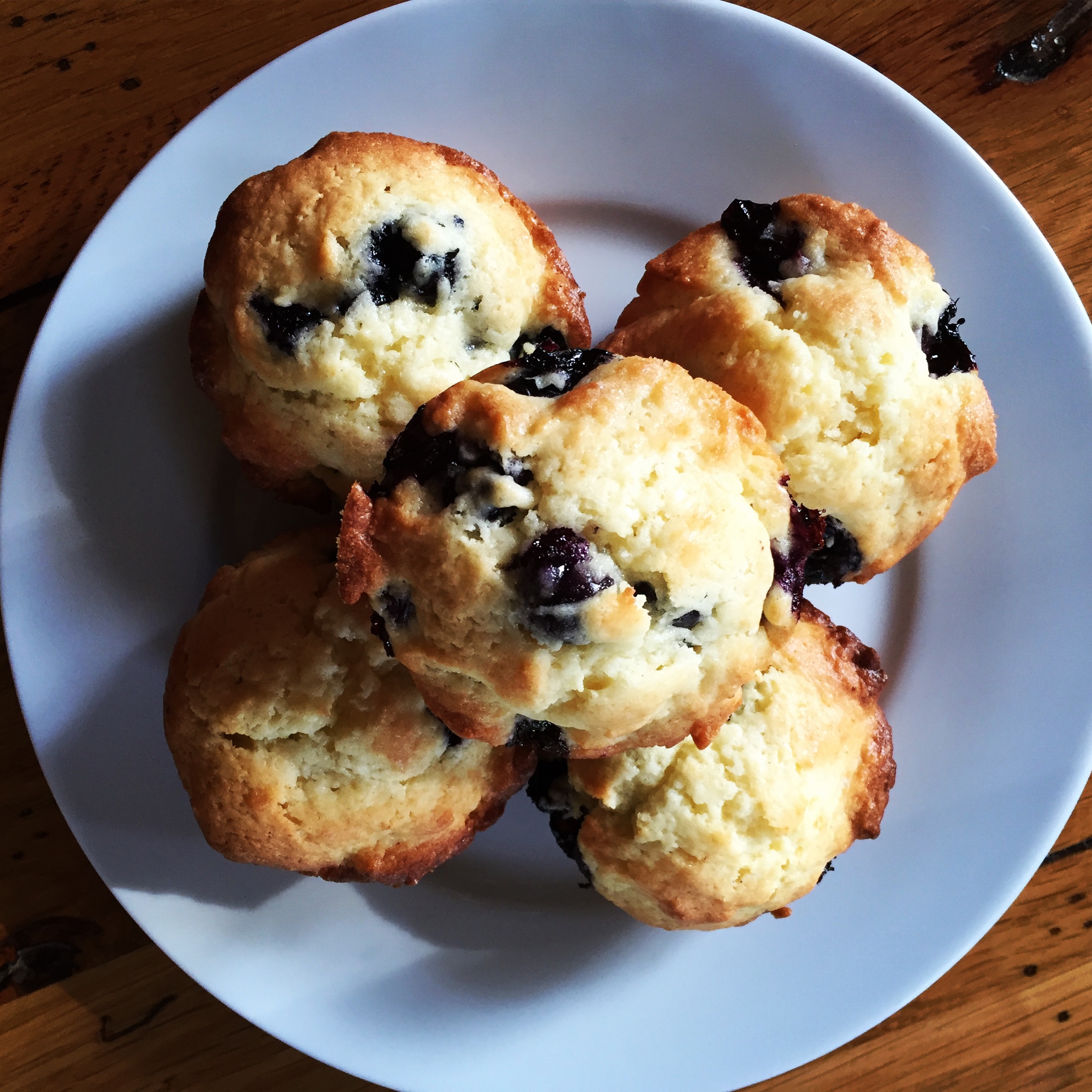 Wild Blueberry Muffins by Sonia Hunt